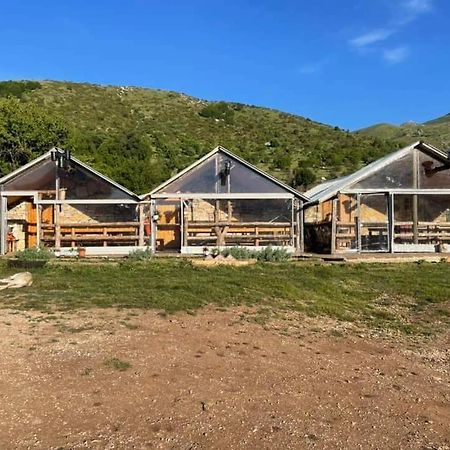 Camping Cajupi 호텔 Gjirokastër 외부 사진